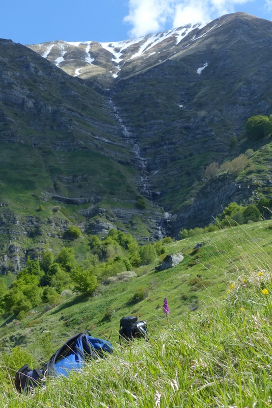 Monte Doro e Cima della Laghetta, le orchidee e i loro ambienti - luglio 2025.